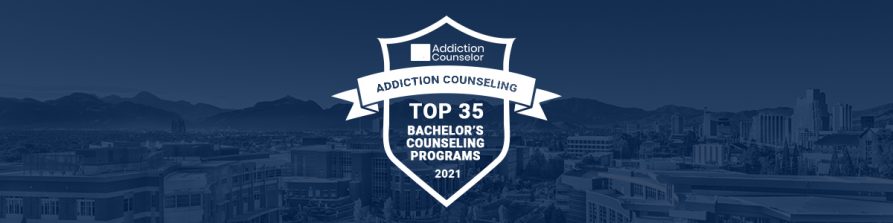 Addiction Counselor Top 35 Bachelor's Counseling Programs 2021