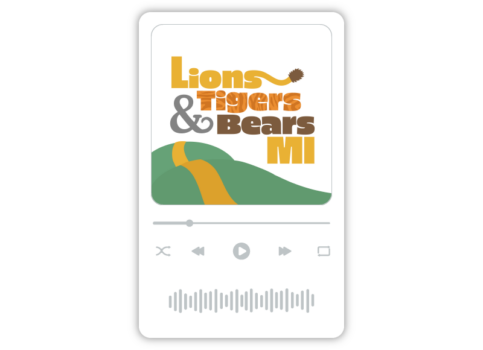 Lions Tigers and Bears MI visual