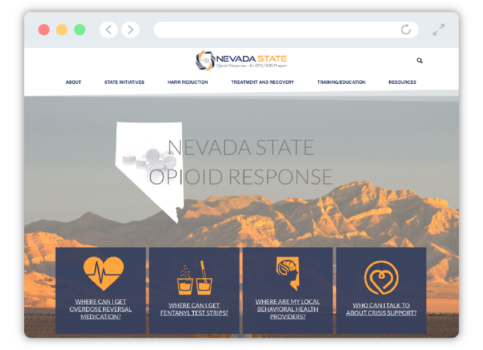 Nevada State Opioid Response visual